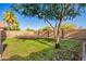 Well-kept backyard featuring a lush lawn, shady tree, and a brick-lined perimeter at 4515 E Verbena Dr, Phoenix, AZ 85044