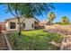 Green backyard with mature tree and brick patio, great for relaxation and outdoor activities at 4515 E Verbena Dr, Phoenix, AZ 85044