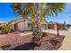 Single-story home with a large palm tree in the front yard and low-maintenance desert landscaping at 4515 E Verbena Dr, Phoenix, AZ 85044