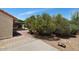 Backyard with covered patio, brick accents, and mature landscaping, a perfect retreat at 5860 W Saragosa St, Chandler, AZ 85226