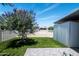 Backyard with artificial turf, landscaping, grey pavers and a blooming tree enclosed with a white picket fence at 632 S 83Rd Way, Mesa, AZ 85208