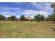 Expansive green field with mature trees set against a beautiful mountain backdrop on a clear day at 11007 N 26Th St, Phoenix, AZ 85028