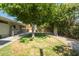 Backyard featuring a mature tree and lush lawn with a covered patio at 1541 E Cinnabar Ave, Phoenix, AZ 85020