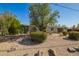 Charming home featuring a low-maintenance yard, mature landscaping, and an attached carport for convenient parking at 1541 E Cinnabar Ave, Phoenix, AZ 85020