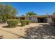 Charming single-level home showcasing a xeriscaped front yard, mature shade trees, and convenient carport access at 1541 E Cinnabar Ave, Phoenix, AZ 85020