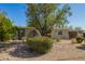 Charming single-story home featuring a desert landscaped front yard with lush, mature trees and vibrant flowering bushes at 1541 E Cinnabar Ave, Phoenix, AZ 85020