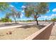 Street view of a desert-landscaped neighborhood with mature trees and desert plants on a sunny day at 15502 W Agua Linda Ln, Surprise, AZ 85374