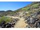 Picturesque hiking trail with desert vegetation and rocks, winding up the mountainside with neighborhood views in the distance at 21609 N 61St Ave, Glendale, AZ 85308