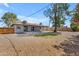 Expansive backyard with a covered patio, mature tree, and ample space at 2215 W Highland Ave, Phoenix, AZ 85015