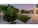 Spacious backyard featuring a manicured lawn, mature trees, and a pool with sunshade for outdoor enjoyment at 2330 E Stephens Pl, Chandler, AZ 85225
