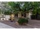 Well-maintained home featuring low-maintenance landscaping, mature trees, and stone accents at 2330 E Stephens Pl, Chandler, AZ 85225