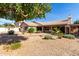 Spacious backyard featuring desert landscaping, covered patio, and ample space for outdoor enjoyment at 3740 W Kent Dr, Chandler, AZ 85226