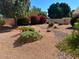 An inviting backyard features lush landscaping, creating a private outdoor oasis with easy to maintain desert landscape at 3740 W Kent Dr, Chandler, AZ 85226