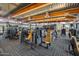 Well-equipped gym featuring modern machines and fitness equipment, with natural light and a spacious layout for residents' convenience at 3741 E Ember Glow Way, Phoenix, AZ 85050
