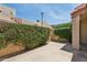 Enclosed backyard featuring stucco walls, green hedges, and concrete ground covering at 4734 W Golden Ln, Glendale, AZ 85302
