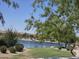 Scenic view of the lake framed by trees and lush landscaping, creating a serene and picturesque setting at 5088 S Ponderosa Dr, Gilbert, AZ 85298