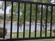 Scenic backyard view through black metal railing, showcasing the lake and lush greenery at 5088 S Ponderosa Dr, Gilbert, AZ 85298