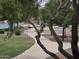 Scenic walking path with lush landscaping alongside a serene lake in a quiet neighborhood at 5088 S Ponderosa Dr, Gilbert, AZ 85298