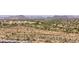 Picturesque aerial view features golf course, hotels, city landscape, and desert vegetation at 5954 E Cat Balue Dr, Phoenix, AZ 85054