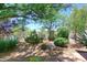 Landscaped backyard garden with a variety of cacti, succulents, and mature trees at 6937 E Purple Shade Cir, Scottsdale, AZ 85266