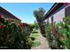 The side yard is landscaped with desert plants, grass stepping stones, and a desert view at 6937 E Purple Shade Cir, Scottsdale, AZ 85266