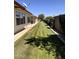 Backyard view with manicured lawn and walkway, and a view of the surrounding community at 8161 E Keats Ave # 376, Mesa, AZ 85209