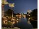 Picturesque view of the pond with illuminated palm trees at night at 861 E Canyon Way, Chandler, AZ 85249