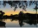 Scenic sunset view of a serene pond reflecting lights from nearby homes and palm trees in a desirable community at 861 E Canyon Way, Chandler, AZ 85249