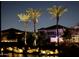A tranquil, illuminated water feature with palm trees enhances this home's appeal and creates an inviting nighttime ambiance at 861 E Canyon Way, Chandler, AZ 85249