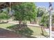 Lush backyard featuring green grass, mature trees, and a patio area at 13012 N 26Th Dr, Phoenix, AZ 85029