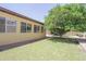 Expansive backyard featuring lush green grass, mature trees, and a well-maintained landscape at 13012 N 26Th Dr, Phoenix, AZ 85029
