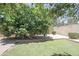Private backyard with gravel area, mature trees, and trimmed bushes, offering a relaxing and secluded outdoor retreat at 13012 N 26Th Dr, Phoenix, AZ 85029