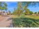 Shady walking path winding through the community park, lined with mature trees at 1420 W Raven Dr, Chandler, AZ 85286