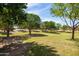 Scenic community park features mature trees, lush lawns, and inviting green spaces at 18649 W Williams St, Goodyear, AZ 85338