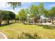 Community playground shaded by mature trees, perfect for outdoor fun and recreation at 18649 W Williams St, Goodyear, AZ 85338