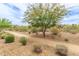 Scenic community with desert landscaping and walking paths at 1951 W Plum Rd, Phoenix, AZ 85085