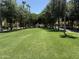 A well-maintained green lawn extends along a street lined with mature shade trees and charming residences at 21183 W Main St, Buckeye, AZ 85396