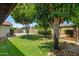 A well-maintained lawn stretches across the back yard with mature trees and a covered patio area at 2264 S Don Carlos --, Mesa, AZ 85202