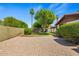 Well-manicured backyard features mature trees, a lush lawn, gravel landscaping, and a private atmosphere at 2264 S Don Carlos --, Mesa, AZ 85202