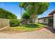 Landscaped backyard features lush green grass and mature trees, providing ample shade and privacy at 2264 S Don Carlos --, Mesa, AZ 85202