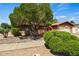 Charming single-story house featuring a lush green yard and well-kept landscape at 2264 S Don Carlos --, Mesa, AZ 85202