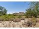 Expansive desert community view showcasing native vegetation and distant mountain views, perfect for nature enthusiasts at 3554 N Hooper St, Buckeye, AZ 85396