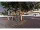 A quaint custom treehouse provides a unique backyard feature at 3911 N 197Th Ave, Buckeye, AZ 85396