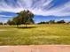 Expansive green space with scattered trees under a bright, blue sky, ideal for recreation at 3932 E Tierra Buena E Ln, Phoenix, AZ 85032