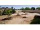 Backyard with several small trees and a perimeter fence at 4626 W Altadena Ave, Glendale, AZ 85304