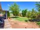Spacious backyard with a green lawn, mature trees, and covered patio at 4626 W Altadena Ave, Glendale, AZ 85304