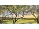 Picturesque golf course framed by trees, highlighting the natural beauty of the Superstition Mountain area at 6551 E Flat Iron Loop, Gold Canyon, AZ 85118