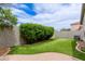 Backyard featuring a faux grass lawn and landscaping at 2326 E Spruce Dr, Chandler, AZ 85286