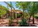 Lush backyard with pergola-covered patio, vibrant greenery, and decorative landscaping at 8540 W Wescott Dr, Peoria, AZ 85382