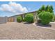 Spacious front yard featuring gravel landscaping and mature trees, offering a serene outdoor space at 10236 W Wood St, Tolleson, AZ 85353